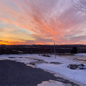 Meet your Posher, Aliyah